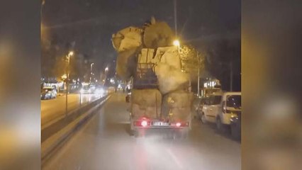 Kamyonetteki çuvalların üzerinde tehlikeli yolculuk