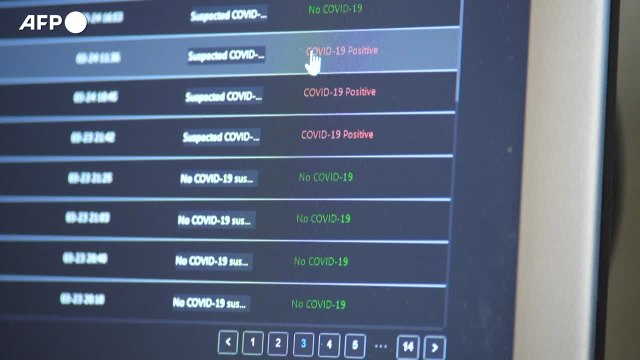 Covid, solo il 30% degli anziani e dei fragili con la quarta dose