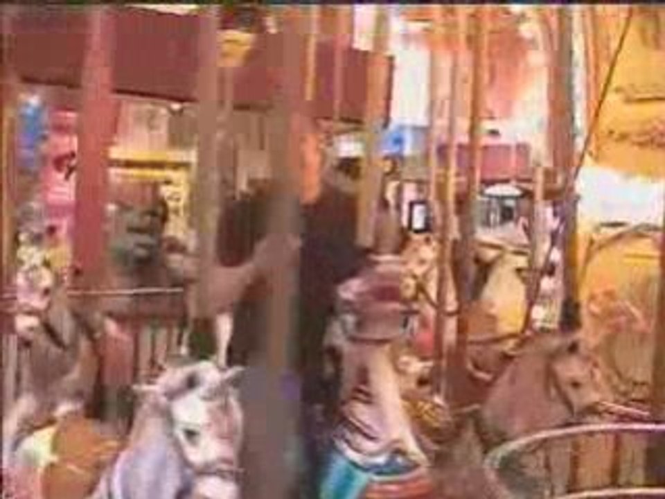 Wild Horses in a Mall | State of Man TV - episode 3
