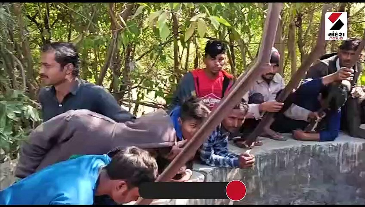ઠાસરા: કુવામાંથી બે કપિરાજના બચ્ચાનું દિલધડક રેસ્ક્યુ કરાયુ