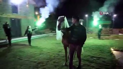 Atlar için önce kına gecesi, sonra da davullu zurnalı düğün yaptılar