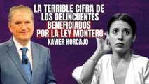  Xavier Horcajo revela el terrible dato: 800 delincuentes pueden recurrir con la ley Montero 