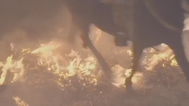 San Bartolomé de Pinares recupera sus reconocidas luminarias