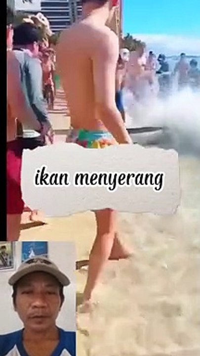 Ikan mendarat