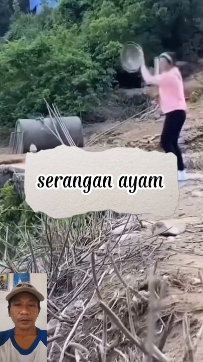 Pasukan ayam