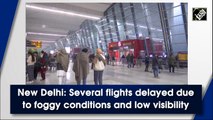 Delhi: Several flights delayed due to fog-induced low visibility