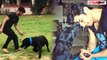 Sushant Singh Rajput के Pet Dog Fudge की हुई मौत, गम में डूबे fans ने Share किए पुराने Videos