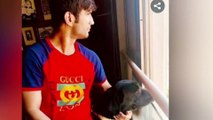 Sushant Singh Rajput's dog Fudge passes away