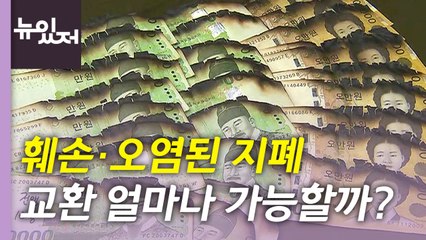 [뉴있저] 설연휴 우회전 신호등 시행...'녹색 화살표'에만 우회전 / YTN