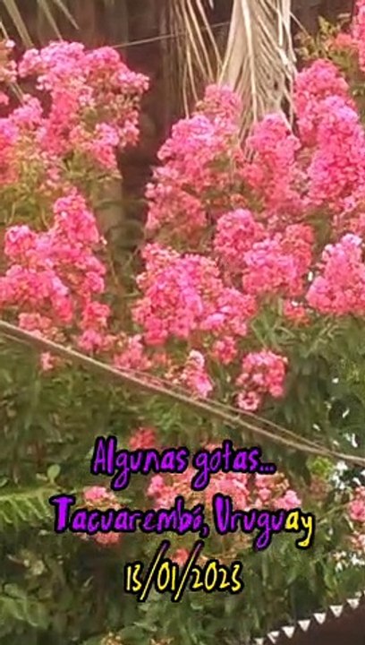 Algunas gotas... Tacuarembó, Uruguay (13/01/2023)