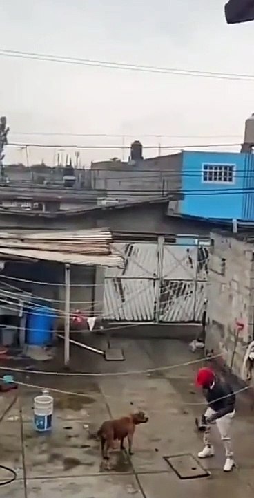 Il a une surprise en envoyant un pot dans les airs avec un feu d'artifice