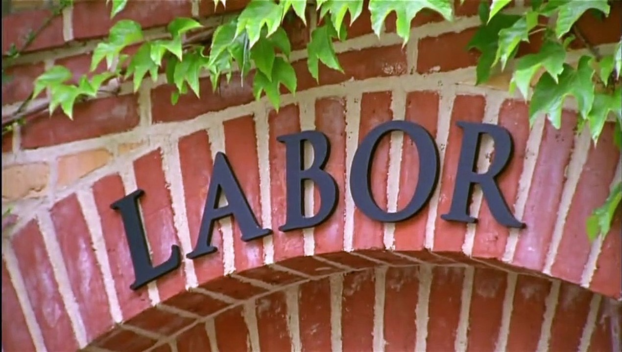 Unser Charly Staffel 16 Folge 3