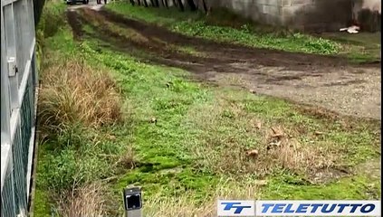 Video News - INFORTUNI, PIAGA SENZA FINE