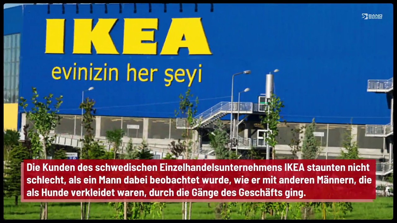 Mann geht als Hund verkleidet mit anderen Männern in IKEA spazieren