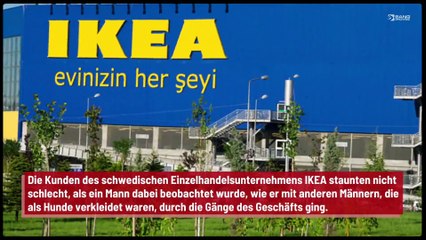 Mann geht als Hund verkleidet mit anderen Männern in IKEA spazieren