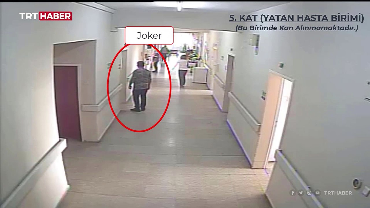 Sahte rapor şebekesine operasyon: 380 gözaltı kararı