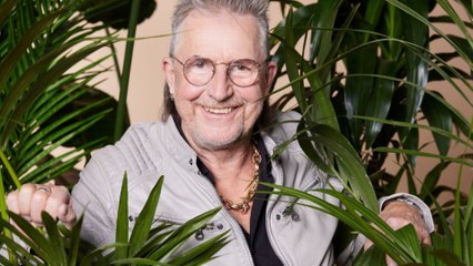 Traum von der "Dschungelkrone" geplatzt: Darum ist Martin Semmelrogge nicht dabei