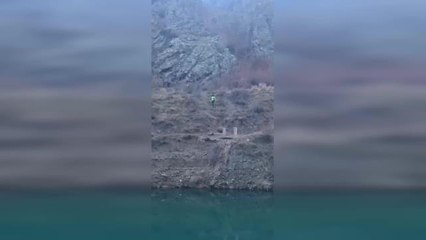 Yusufeli'nde Su Altında Kalacak Bölgedeki Hayvanlar Gönüllü Ekipler Tarafından Tahliye Ediliyor