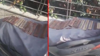 Sokaktaki kedilere acımasız tuzak! "Motorumu kirletiyor" bahanesiyle çivili tahta hazırladı