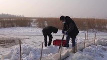 Çin'in Jilin Eyaletinde Buzda Balık Tutmak