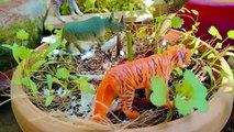 Wild Animal Toys Collection- Fun Toys For Kids, Learn Animals Name