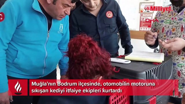 İtfaiye ekibi kurtardıkları, bir bacağı ampute edilen kediyi sahiplendi