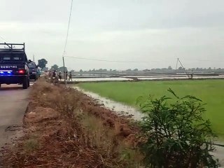 Petani Blok Lungsemut Mulai Menanam Bibit Padi