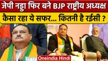 JP Nadda फिर बने BJP National President, कैसा रहा सफर कितने हैं रईस ? | Amit Shah | वनइंडिया हिंदी