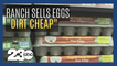 Bay area ranch sells eggs cheap during shortage