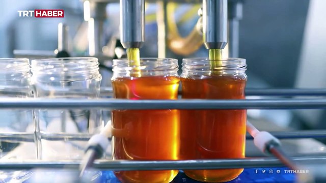 Türkiye'nin arıcılık haritası dijital ortama taşındı