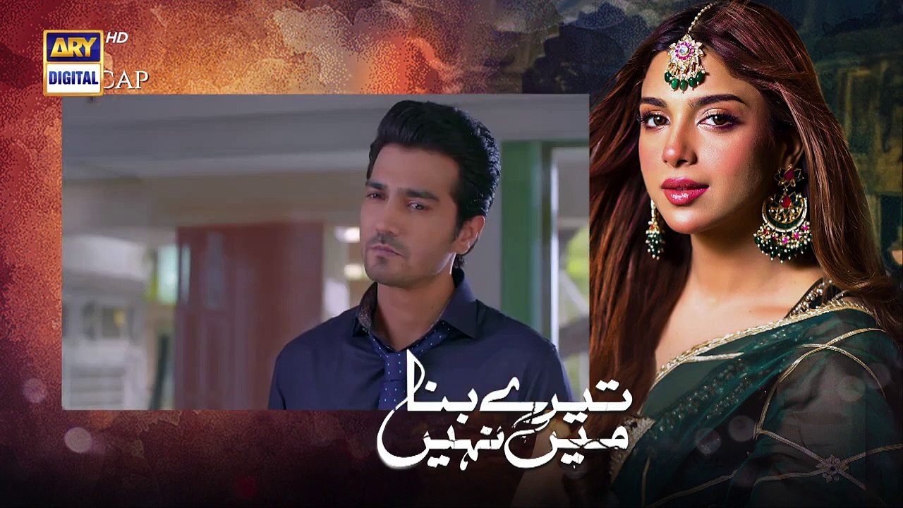 Tere Bina Mein Nahi Episode 4 _ 17th January 2023 _ ARY Digital (720p)