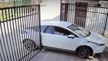 Quando é pior a emenda que o soneto… como explicar isto ao marido?