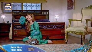 Tere Bina Mein Nahi Episode 5 _ Promo _ Sonya Hussain _ Shehzad Sheikh _ Aiza Awan _ ARY Digital (720p)