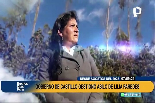 Colaborador a la Fiscalía: Pedro Castillo tramitó asilo de Lilia Paredes en México desde agosto del 2022