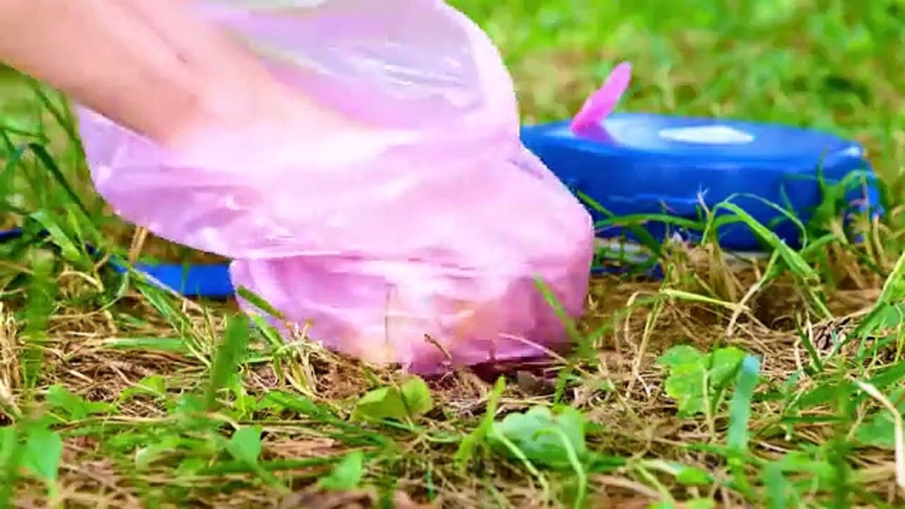 BEST PET GADGETS AND HACKS EVERY PET OWNER SHOULD KNOW