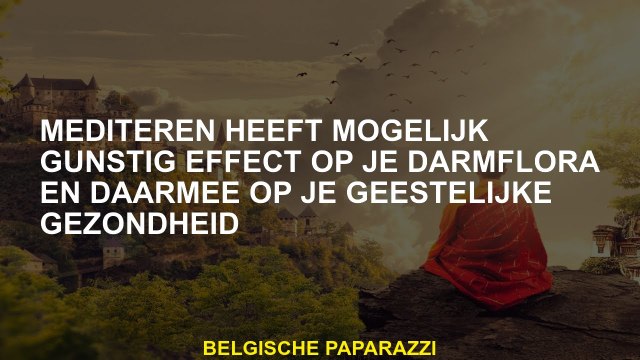 Meditatie kan een gunstig effect hebben op uw darmflora en dus op uw geestelijke gezondheid