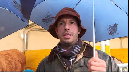 Rome : bénédiction pour les animaux à l'occasion de la Saint Antoine