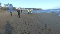 Vídeo de la localización de dos manos en una playa de Marbella que podría ser de la mujer decapitada por su expareja.