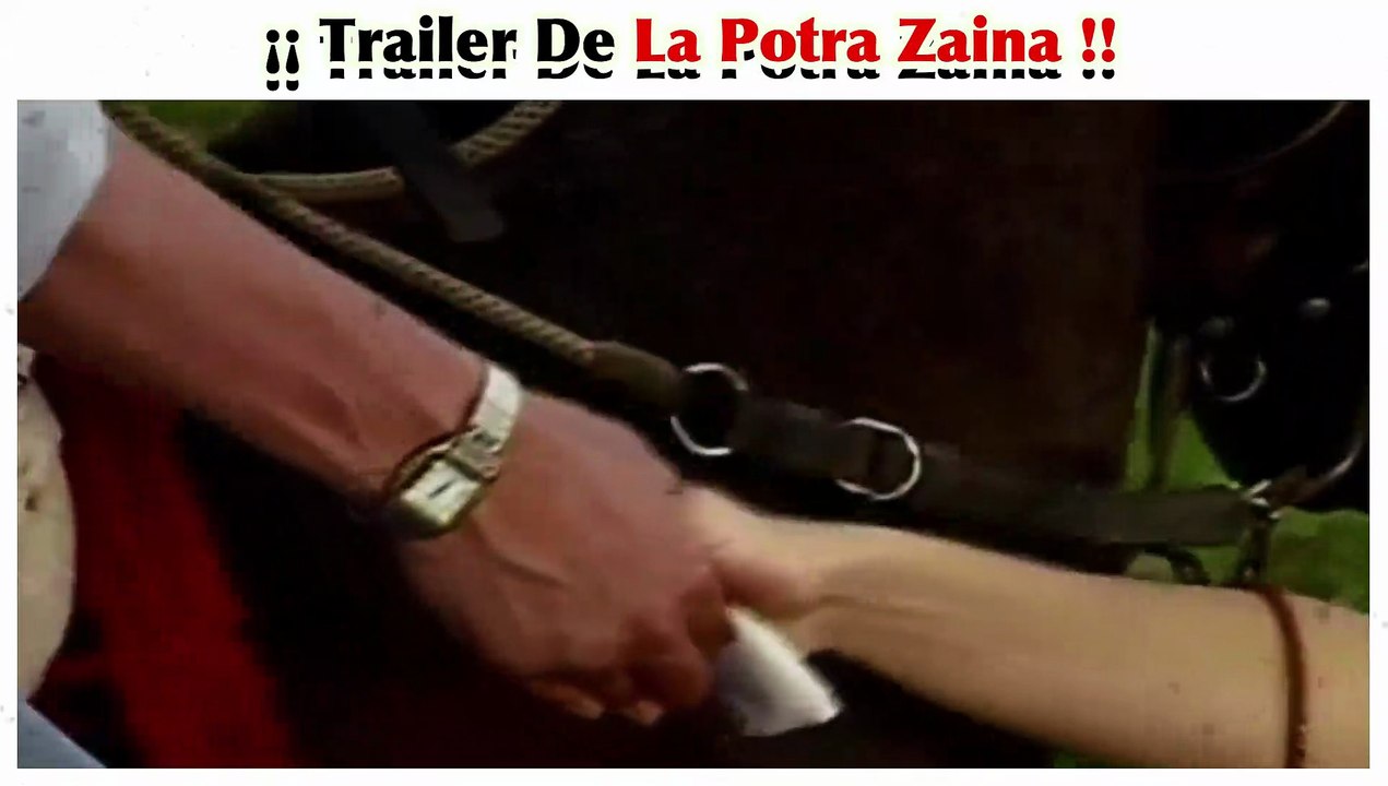Ver Capítulos Completos La potra Zaina HD