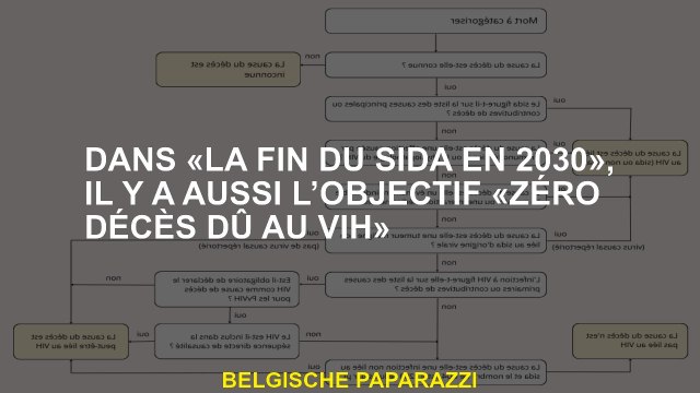 Dans La fin du sida en 2030 , il y a aussi l'objectif zéro décès dus au VIH