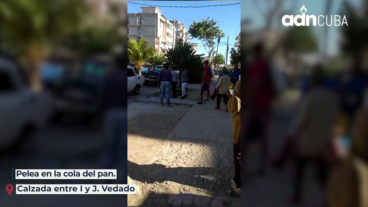 Cámaras de ADN captaron una pelea en la cola del pan en el Vedado, Ciudad Habana.