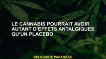 Le cannabis pourrait avoir autant d'effets analgésiques qu'un placebo