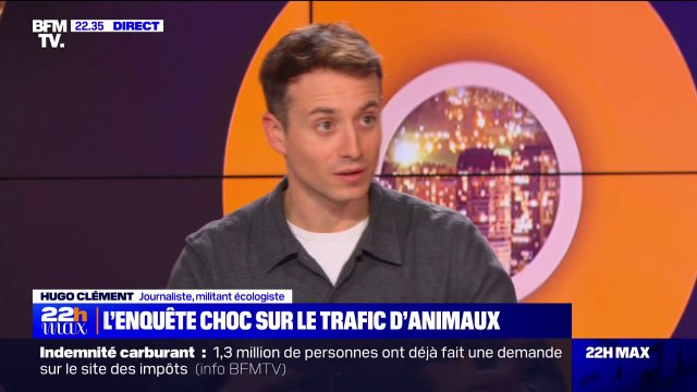 Des dépouilles d'animaux transformées en tapis et trophées: l'enquête choc de Hugo Clément