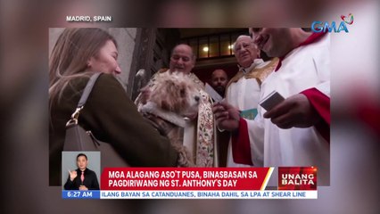 Mga alagang aso't pusa, binasbasan sa pagdiriwang ng St. Anthony's Day | UB