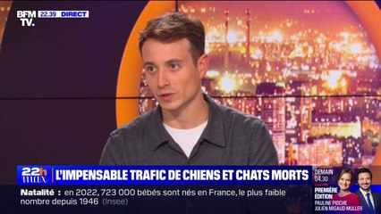 Trafic de dépouilles d'animaux: "Il pensait que son chien avait été incinéré", raconte Hugo Clément