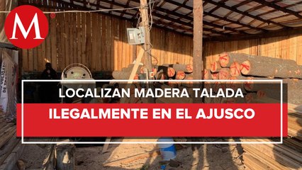 Realizan operativo contra tala clandestina en Tlalpan