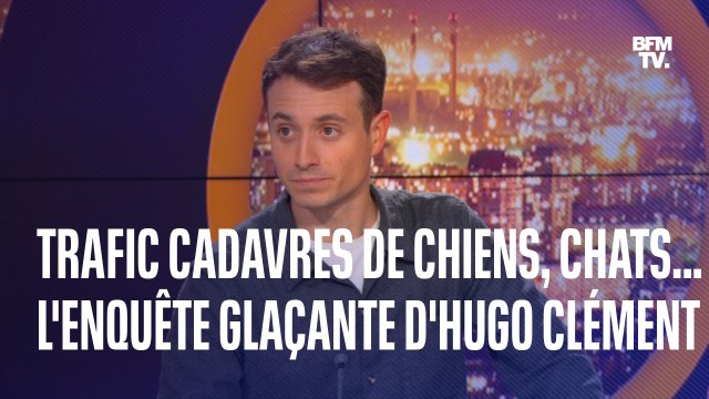 Trafic de cadavres de chiens, chats, kangourou...: Hugo Clément raconte son enquête glaçante