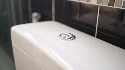 Vorsicht! Die Spartaste bei der Toilettenspülung kann teuer werden
