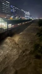 inundaciones parques del rio enero 17 2023-7