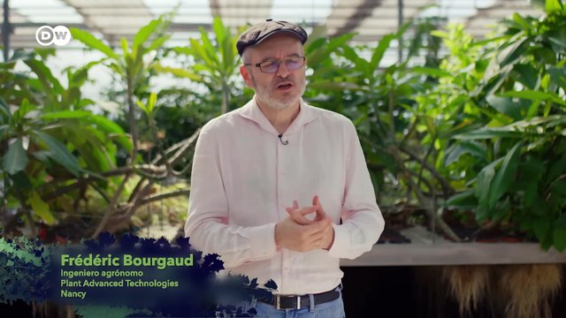 Bioeconomía como alternativa - ¿qué tan prometedores son los recursos renovables? | DW Documental
